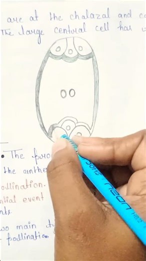Structure of an Ovule | Biology Simplified 🌿 #shorts