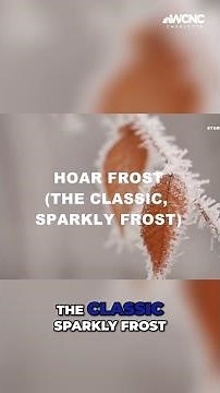 Different types of frost