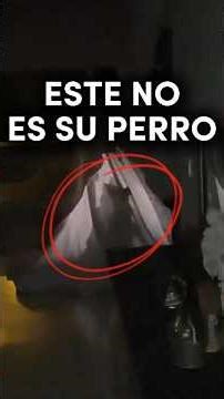 The biggest fear of all! 😱 That wasn't his dog! #shorts