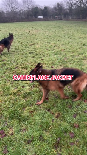 Men’s Padded Camo Hooded Jacket for Outdoor Adventures