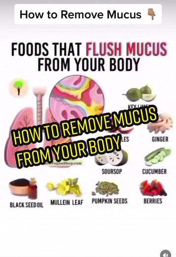 How to remove mucus from the body to prevent or reverse diseases . #cleanser #mucusremoval #tips #prevent #disease #knowledge #drsebi #truth #healthtok #whatyouthink #healthtips #fyp #woketok #repost #share #foryoupage #whatdoyouthink #follow