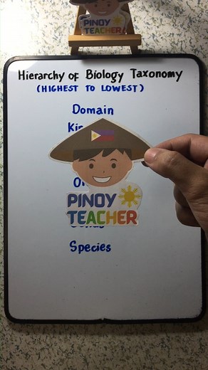 1.2K views · 35 reactions | The Hierarchy Biology Taxonomy #GeneralEducation #LETBoardExam #gened #LET #LEPT #everyone #highlight #fypシ゚ | Pinoy Teacher | Facebook