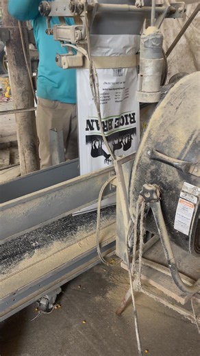 🎉 Good news today for all our rice bran lovers — we’re bagging rice bran! 🌾💪 Come and get it while it’s fresh! 😍 #RiceBran #FreshFeed #McKoinFarm #DeerFeed #FarmFresh #FeedTime #HuntingSeason #DeerSeason #FeedTheDeer #LouisianaOutdoors 🦌🌾💚 | McKoin Farms
