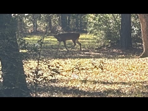 Em(add9) (official audio)