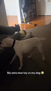 534K views · 5.6K reactions | 藍 | Free fun | Facebook