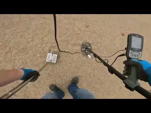 Back to raccoon beach