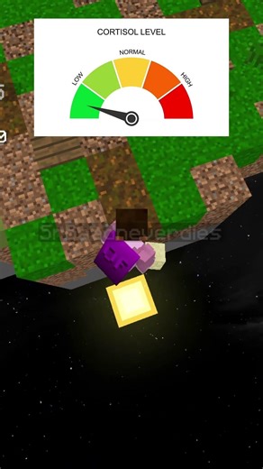 HIGH CORTISOL !!! #minecraft #bedwars #pvp #bridge