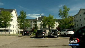 Charges pending after cat beaten to death in southeast Calgary