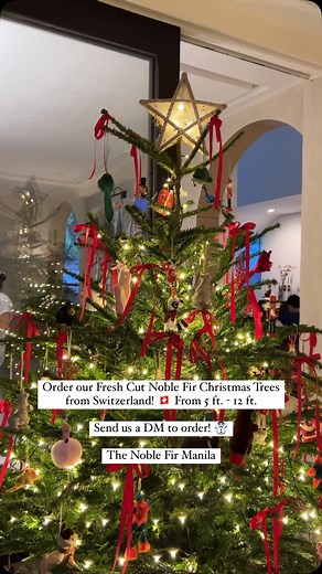 Make the season wintry, bright and as fresh as ever with our Fresh Cut Noble Fir Christmas Trees air - flown from Switzerland! 🇨🇭 We have sizes ranging from 5 ft. to 12 ft. Tree stand is sold separately. We also have fresh evergreen and other adornments available. Send us a DM to order! 🥂 #TheNobleFirManila | The Noble Fir