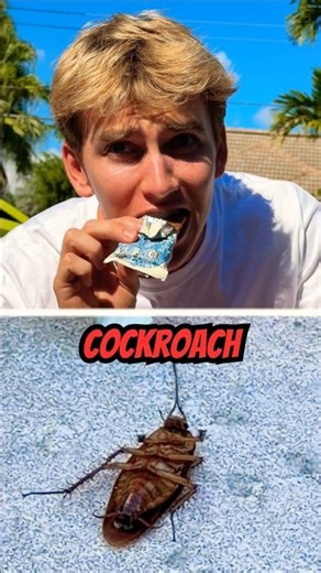 Did Stephen Sharer eat a BUG? 🤢