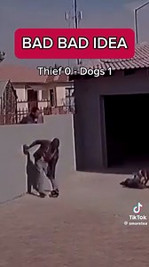 Catch your breath before you watch this! 😂 It’s that funny! #LMAO #ComedyGold #Humor #LOL #FunnyMoments #TrendingNow #Hilarious #GoodVibes #Viral #LaughOutLoud | Trường và những người bạn