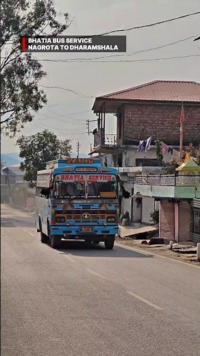 Bhatia Bus Service on the stunning Nagrota to Dharamshala mountain route #buses #buslover