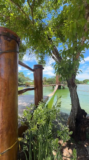 Amazing! 🇧🇷 #brazil #viral #Amazing | Destinos Mato Grosso do Sul