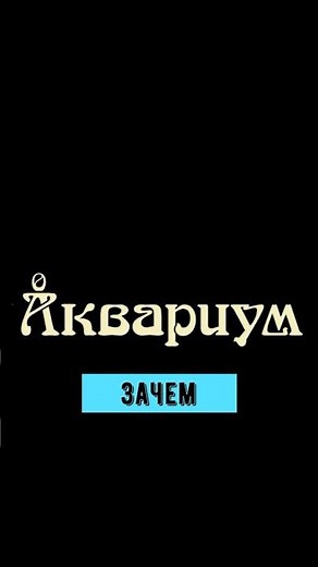 Аквариум - Зачем (кавер - Виталий Подземный)