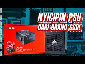 Seperti Apa Performa PSU Buatan Brand SSD? | Review XPG Pylon 650W 80 Plus Bronze