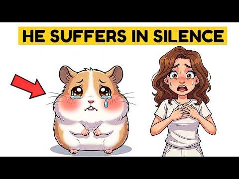Your hamster is suffering in silence and you haven't even noticed.