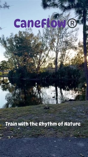 Whenever possible… take it outdoors. There’s something different about training when you step into nature. The rhythm changes. Breathing settles. Movement organizes itself differently. This isn’t just “spinning a cane.” Inside this flow are: • Sobrevivencia principles • Cane Aikido entries • structural alignment • empty-hand translation • balance and timing refinement The cane becomes a kinesthetic training device — a way to feel your structure, your rhythm, your coordination in real time. What 