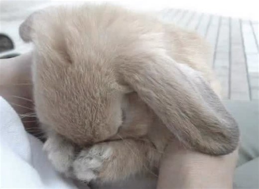 @luvia.jpg on Instagram: "1992年发行的西班牙塞维利亚二人组Los del Río的歌曲🎶，最初在西班牙获得了人气🇪🇸， 随后传播到拉丁美洲和美国🌎，成为全球范围的超级热门曲目🔥。 这首歌爆发式流行的契机正是1996年亚特兰大奥运会🏅。 当时美国女子国家体操队的表演🤸‍♀️通过全球直播📺，与《Macarena》欢快的节奏💃完美融合，使这首歌的人气迅速飙升📈。 结果，在1996年，《公告牌》Hot 100榜单上连续14周夺得第一名🏆，创造了历史纪录📝，并在年末榜单上位列第一✨，同时在《公告牌》有史以来榜单上也升至第8名🥳，创造了巨大纪录。 尤其值得一提的是，这首非英语外语歌曲🌐在美国市场取得如此成功的案例，即便现在也屈指可数👏。 另一大成功因素是其令人上瘾的舞蹈🕺。简单但突出腰部动作的舞步，当时受到了男女老少👨‍👩‍👧‍👦的广泛欢迎，让全世界的人都想尝试模仿🤩。 《Macarena》成为90年代代表性的全球文化现象🌟，也是跨越世代的回忆金曲💖。 ▶️ 大家是否还记得，在派对🎉上大家一起手舞足蹈、配合腰部动作跳《M