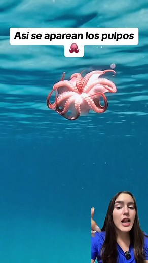 Los pulpos y su aparición: Biología marina fascinante