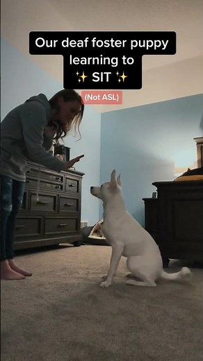 Training SIT in sign language