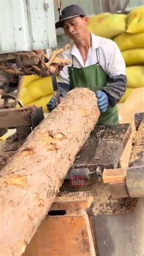 Industrial Log Cutting Machine in Action | Satisfying Wood Processing