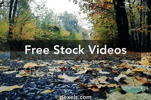 Rain Sounds Videos, Download The BEST Free 4k Stock Video Footage & Rain Sounds HD Video Clips