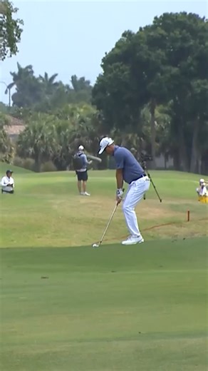 Uh, that’ll play. 😳 What a shot from Dylan Newman at the PGA Professional Championship. | PGA of America