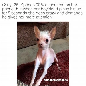 😂😂😂 | Dog Personalities