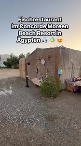 63K views · 265 reactions | Fischrestaurant im Concorde Moreen Beach Resort in Ägypten    | Besser Urlauben | Facebook