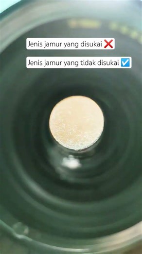 Canon 15-85 Lens Has Fungus? Don't Panic! It Can Still Be Saved! 😱🔥#canon1585 #cameraservice