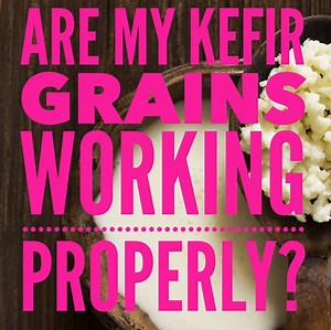 1.4K views · 26 reactions | How do you know if your kefir grains are...
