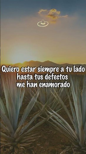 Banda El Recodo - La Mejor De Todas (Letra/Lyrics) #shorts