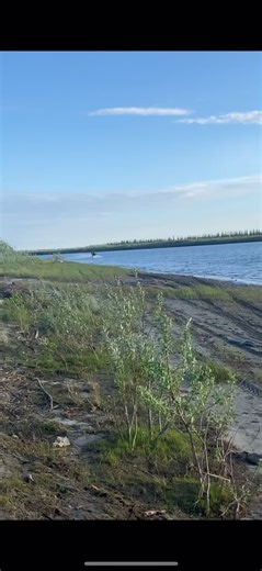 Center Shock Goes Dead: What You Need to Know