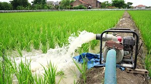 Irrigation of rice fields using pump wells with the technique of pumping water from the ground to flow into the rice fields. The pumping station where water is pumped from a irrigation canal.