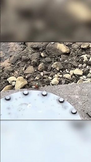 Bird Fisher in Action – The Ultimate Catch!