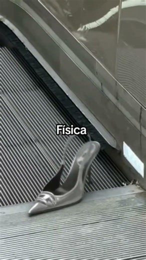 ésto se puede hacer? 😮 #ciencia #feed #experiment #monkey #humor