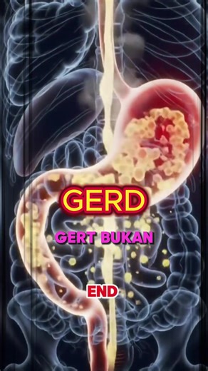 The Benefits of Natto for Gastric Health