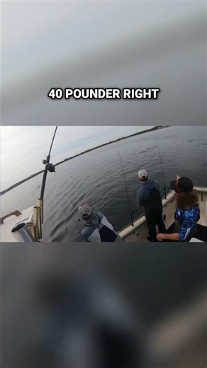 Create your own blitz! Live Chumming for BIG striped bass