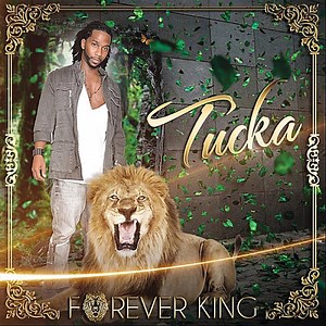 Don't Make Me Beg - Tucka: Song Lyrics, Music Videos & Concerts
