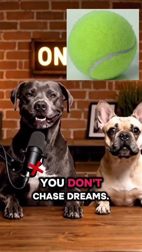 yo yo a new podcast with my friend #viral #youtube #dog #comedyshorts