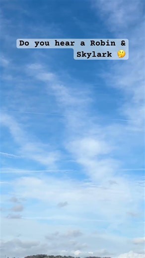 Spring birds singing in the background 🤔 Robin & Skylark?