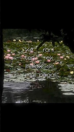 Bargad - Sufr, Arpit Bala ~ (lyrics) #aestheic #lyrics #trending #music