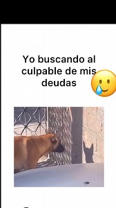 JAJAJA con razon no lo encuentro 😂😂🥵 #reelsfacebook #meme | José Aquino