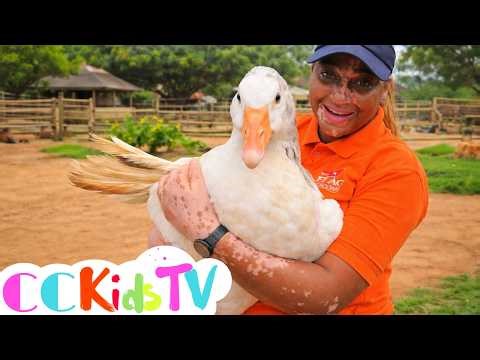 Meet the Goose with Angel Wings | Flag Animal Farm | Kind Rescue Goose Story