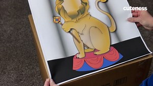How To Make A Cartoon Box