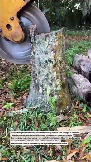 High-Speed Stump Grinding Machine in Action! #LandClearing #StumpRemoval #HeavyEquipment