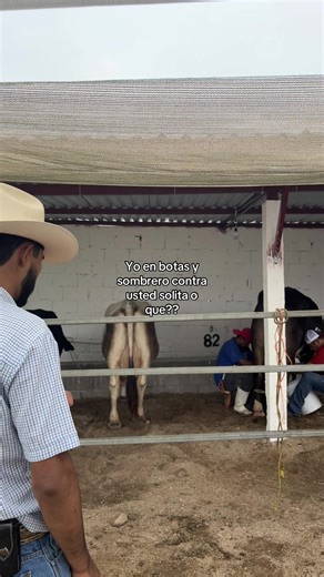 Espectacular duelo vaquero: ¡yo en botas y sombrero!