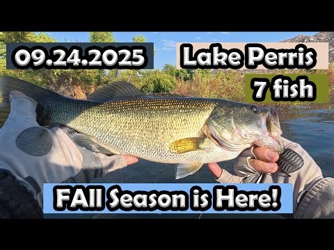 Lake Perris Bass Fishing: 7 fish! #lakeperrisfishing #zmanfishingproducts #bassfishing #fishing