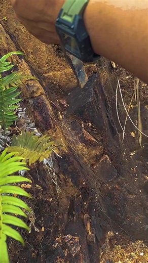 Gold behind the Marl Stone. yt. #armangoldhunting #asmr #stone #nature