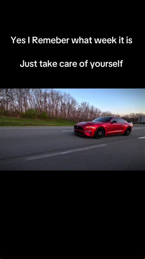 LaneSpeckMedia on TikTok